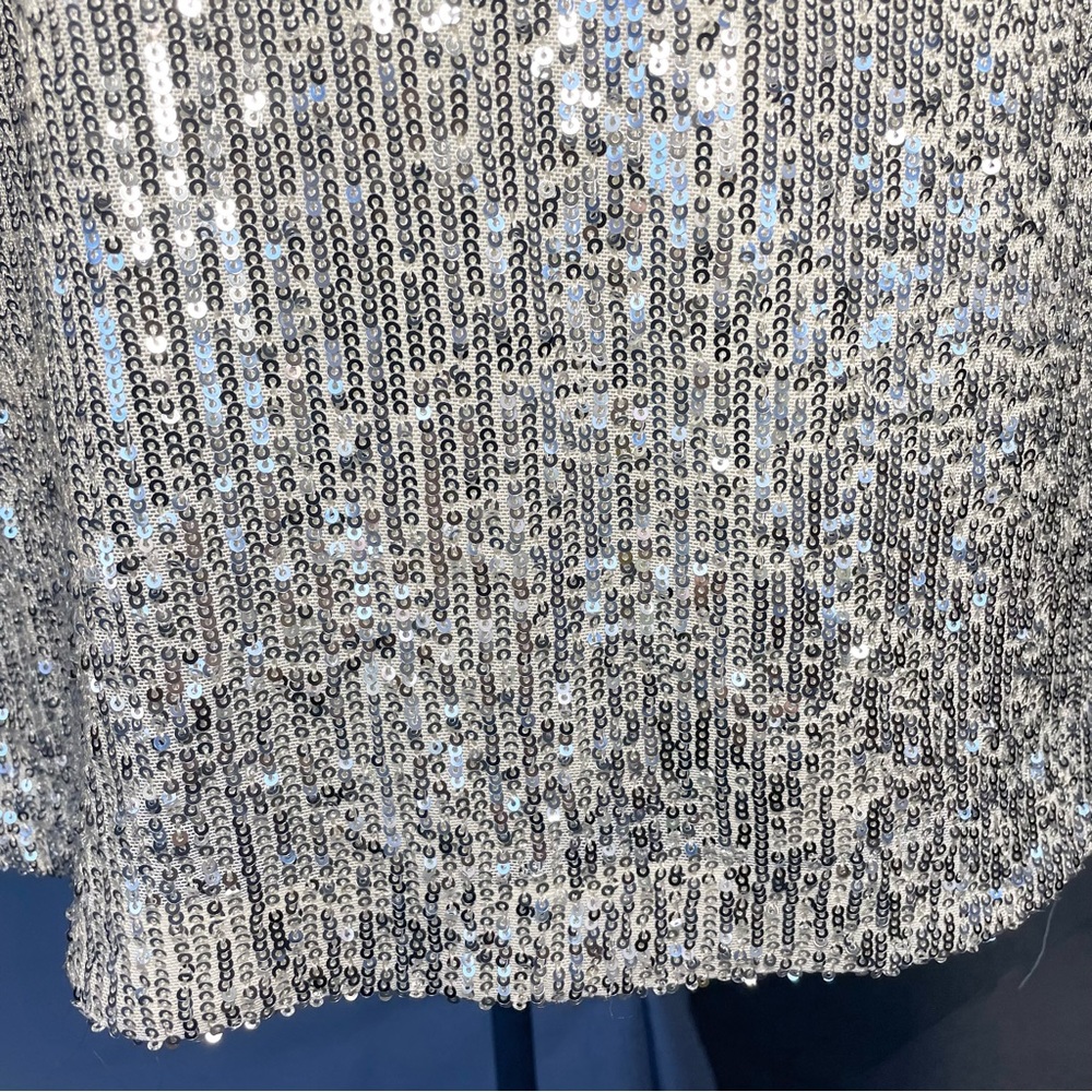 NWT Silver, and cream, Eliza J, double layered sequence dress - Picture 9 of 13